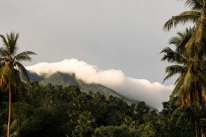 green trees near mountain under white clouds during daytime